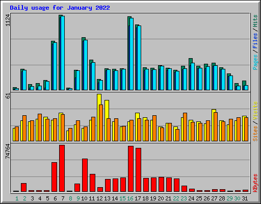 Daily usage for January 2022