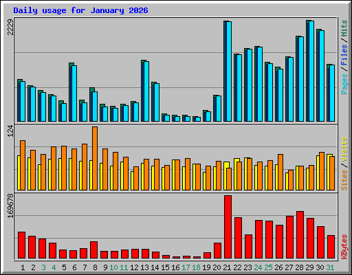 Daily usage for January 2026