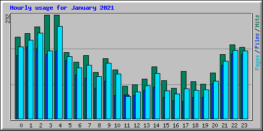 Hourly usage for January 2021