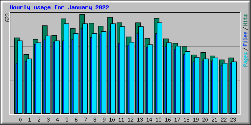 Hourly usage for January 2022