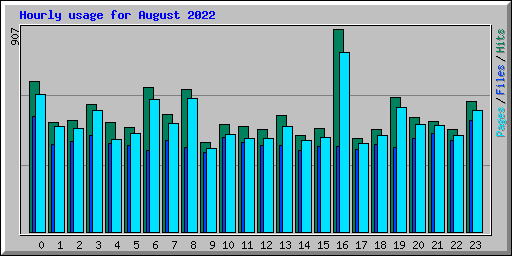 Hourly usage for August 2022