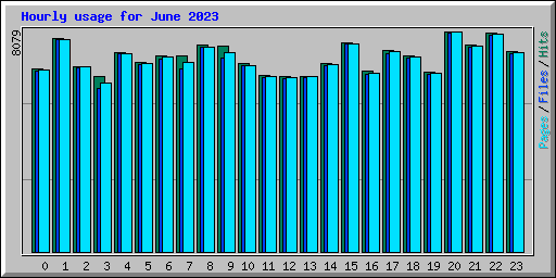 Hourly usage for June 2023