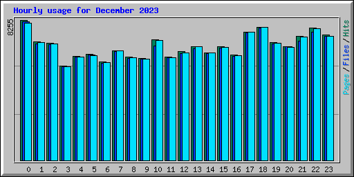 Hourly usage for December 2023