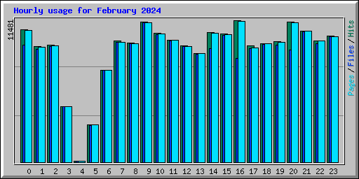 Hourly usage for February 2024