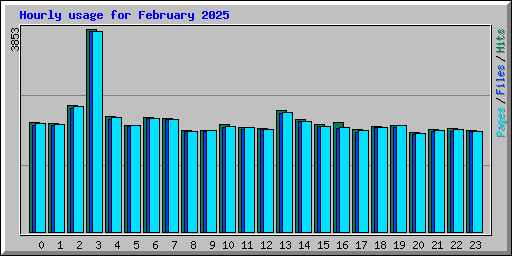 Hourly usage for February 2025