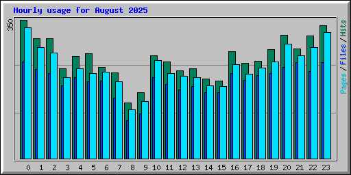 Hourly usage for August 2025