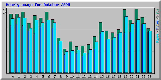 Hourly usage for October 2025
