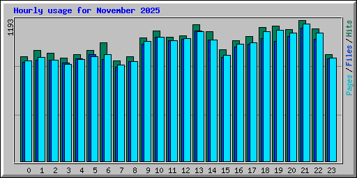 Hourly usage for November 2025