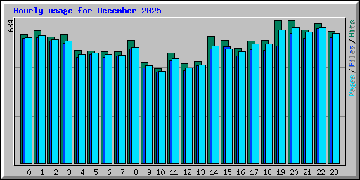 Hourly usage for December 2025