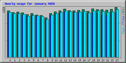 Hourly usage for January 2026