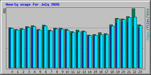 Hourly usage for July 2026